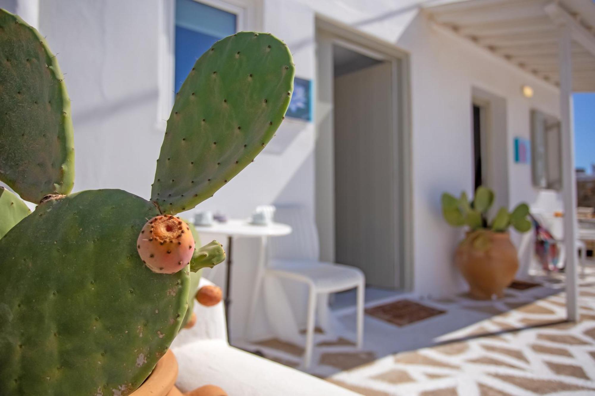 Mykonos Town Sing And Blossom Accommodation מראה חיצוני תמונה
